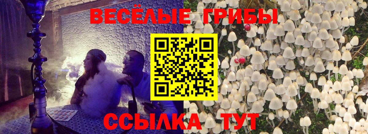 Галлюциногенные грибы мицелий Усть-Илимск
